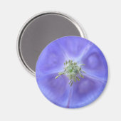 Aquilegia Blume Magnet (Vorderseite/Rückseite)