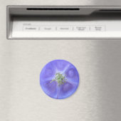Aquilegia Blume Magnet (In Situ (Geschirrspüler))