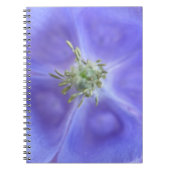 Aquilegia Blume Notebook Notizblock (Vorderseite)