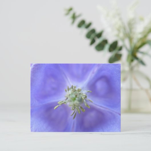 Aquilegia Blume Postkarte (Stehend Vorderseite)