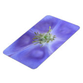 Aquilegia Blume Premium Magnet (Linke Seite)