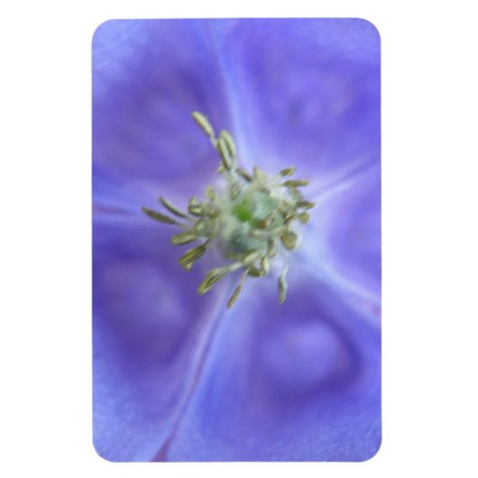 Aquilegia Blume Premium Magnet (Vertikal)
