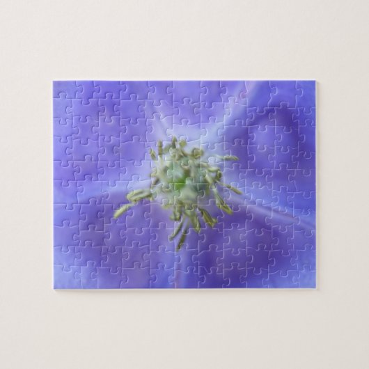 Aquilegia Blume Puzzle (Horizontal)