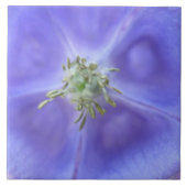 Aquilegia Blume Tile Fliese (Vorderseite)