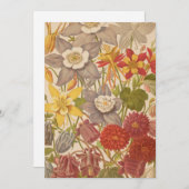 Aquilegia | George Nicholson (Vorne/Hinten)