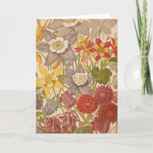 Aquilegia   George Nicholson Karte