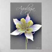 Aquilegia Poster (Vorne)