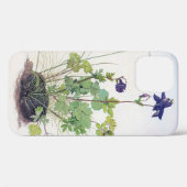 Aquilegia vulgaris Blume, Albrecht Durer Case-Mate iPhone Hülle (Rückseite (Horizontal))