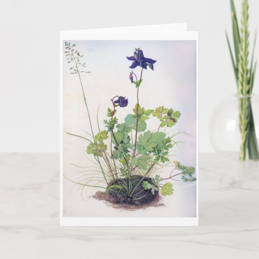 Aquilegia vulgaris Blume, Albrecht Durer Karte (Vorderseite)