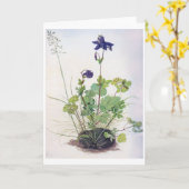 Aquilegia vulgaris Blume, Albrecht Durer Karte (Gelbe Blume)