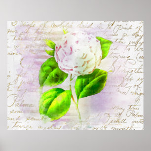 ** AR23 Alte Handschrift mit Floral Vintag Viktori Poster