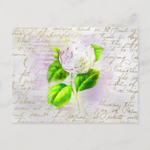 ** AR23 Florale alte Handschrift Vintage Romantik Postkarte