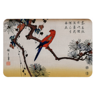 Ara auf Kiefernzweig, Hiroshige Magnet