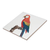 Ara Canga Parrot Fliese (Seite)