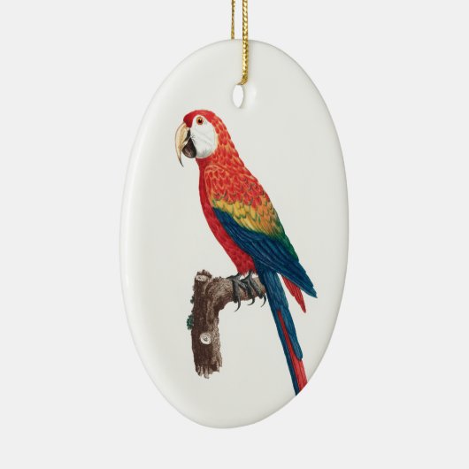 Ara Canga Parrot Keramik Ornament (Rechts)
