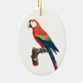 Ara Canga Parrot Keramik Ornament (Hinten)
