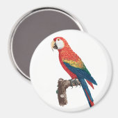 Ara Canga Parrot Magnet (Vorderseite/Rückseite)