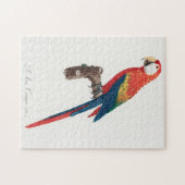 Ara Canga Parrot Puzzle (Horizontal)