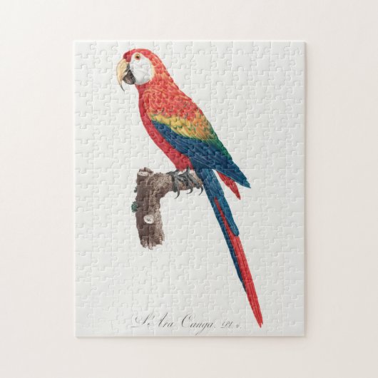 Ara Canga Parrot Puzzle (Vertikal)