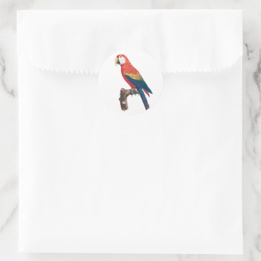 Ara Canga Parrot Runder Aufkleber (Tasche)