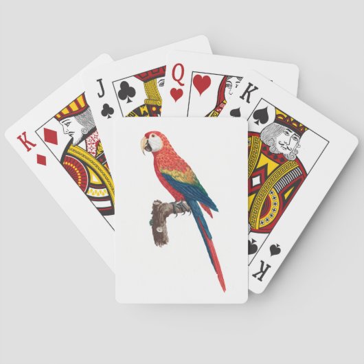 Ara Canga Parrot Spielkarten (Rückseite)