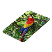 Ara de Scarlet auf der Baumgrenze Magnet (Linke Seite)