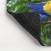Ara de Scarlet auf der Baumgrenze Mousepad (Ecke)