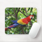 Ara de Scarlet auf der Baumgrenze Mousepad (Mit Mouse)