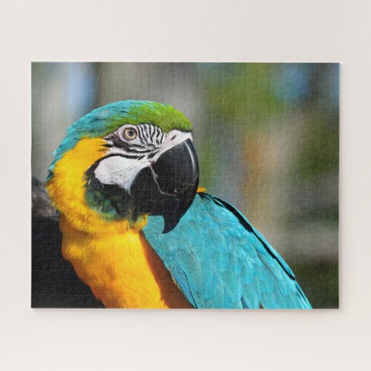 Ara Druck, Value Poster Papier (Matt) Puzzle (Horizontal)