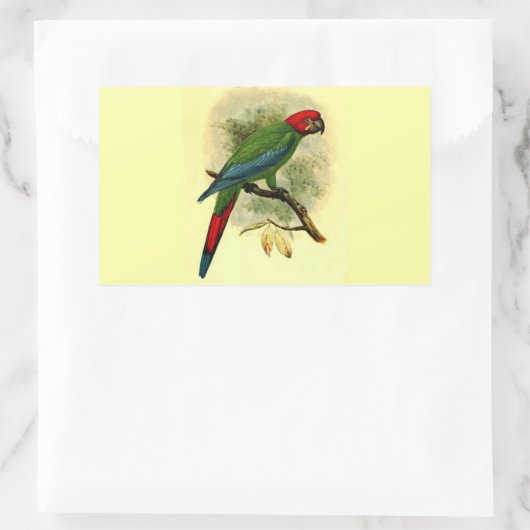 Ara Erythrocephala Rectangle Sticker (Tasche)