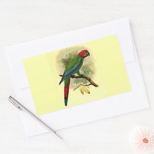 Ara Erythrocephala Rectangle Sticker (Umschlag)