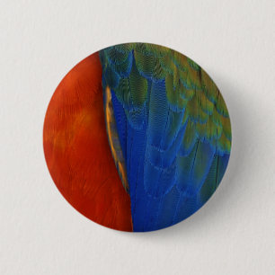 Ara Federn Button