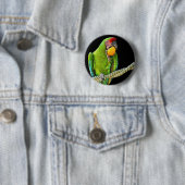Ara Militaris Grüner Paprot Button (Beispiel)