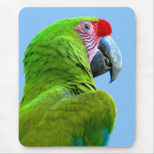 Ara Militaris Grüner Paprot Mousepad