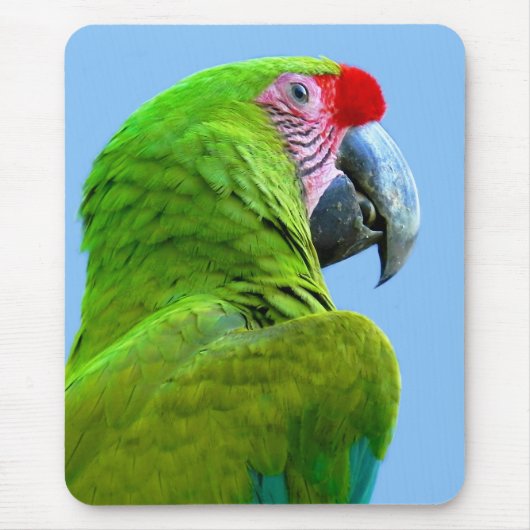 Ara Militaris Grüner Paprot Mousepad (Vorne)