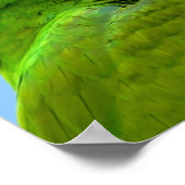 Ara Militaris Grüner Paprot Poster (Ecke)