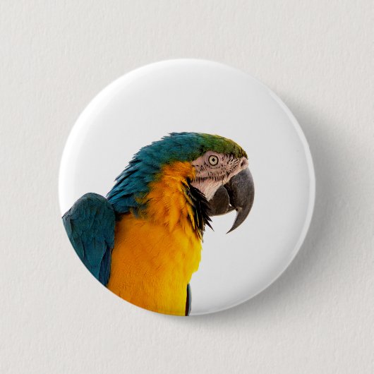 Ara Papagei Foto Button (Vorderseite)