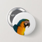 Ara Papagei Foto Button (Vorne & Hinten)