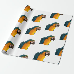 Ara Papagei Foto Geschenkpapier