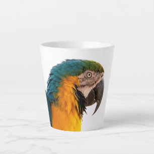 Ara Papagei Foto Milchtasse