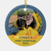 Ara Parrot Pet 1. Weihnachtsband Foto Keramik Ornament (Vorne)