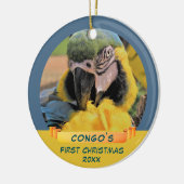 Ara Parrot Pet 1. Weihnachtsband Foto Keramik Ornament (Links)