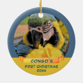 Ara Parrot Pet 1. Weihnachtsband Foto Keramik Ornament (Hinten)