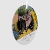 Ara Parrot Pet Foto Star Christmas Keepake Ornament (Vorderseite)