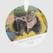 Ara Parrot Pet Foto Star Christmas Keepake Ornament (Vorderseite)