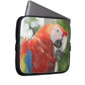 Ara-Scharbe Laptopschutzhülle (Vorne Rechts)