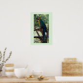 Ara-Vogel-Foto-Poster Poster (Küche)