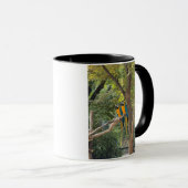 Ara-Vögel Foto-Tasse Tasse (VorderseiteRechts)