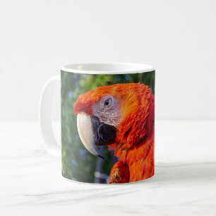 Ara-Vogel Kaffeetasse