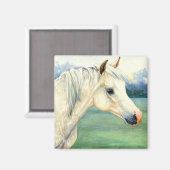 Arab Horse Magnet (Vorderseite/Rückseite)